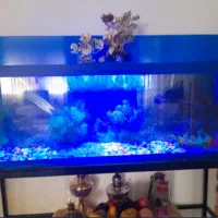 فروش آکواریوم بهمراه کلیه متعلقات