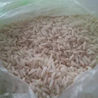فروش برنج هاشمی