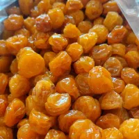 الوبخارا زرد طلایی بوانات|خوردنی و آشامیدنی|شیراز, ریاستی|دیوار