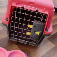 لوازم پت|لوازم جانبی حیوانات|اردبیل, |دیوار