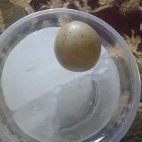 سنگ آسیاب|جواهرات|دورود, |دیوار