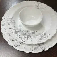 سرویس ارکوپال ۲۵ پارچه