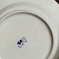 چینی زرین ایران|ظروف سرو و پذیرایی|شاهینشهر, عطار|دیوار