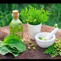 کار درمنزل با گوشی تو خونه