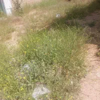 زمین-202متری-دربهترین-نقطه-کفری-طرح-هادی