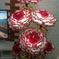 گل کنار سالنی