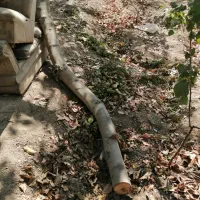 چوب گردو و چوب زغال|مصالح و تجهیزات ساختمان|نجف‌آباد, قلعه سفید|دیوار