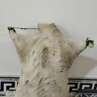 هیزه جای روغن نو|ظروف نگهدارنده، پلاستیکی، یکبارمصرف|بروجرد, |دیوار