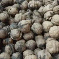 گردو بسیار تمیز