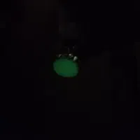 شب چراغ کمیاب