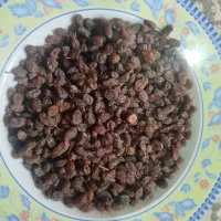 شیره و کشمش ملکان(تبریز)