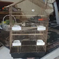 قفس کاسکویی طلایی