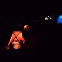 تور طبیعت گردی