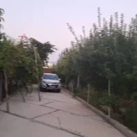 فروش باغ شهری|فروش خانه و ویلا|همایجان, |دیوار