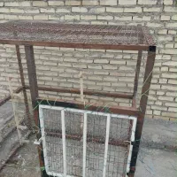 قفس کبوتر