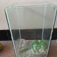 شیشه‌ای  آکواریوم