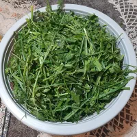 سبزی جات آماده قرمه کوکو اش ترشی و شور|خوردنی و آشامیدنی|فردیس, شهرک هفده شهریور|دیوار