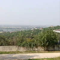 زمین باغ ویودار بزچفت بابلکنار|فروش زمین و ملک کلنگی|بابل, |دیوار