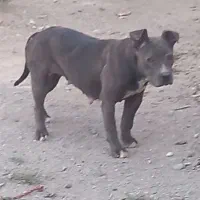 به دلیل جابه‌جایی