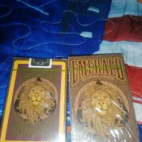 پاسور طرح شیر