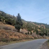 6500مترمربع-زمین-بهر-جاده-برسروجاده-دیلمان
