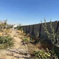 زمین باغی|فروش زمین و ملک کلنگی|شاندیز, |دیوار