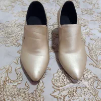 کفش پوست ماری|کیف، کفش، کمربند|خمام, |دیوار