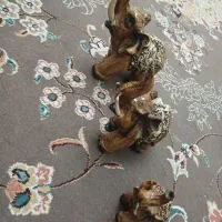 فیل دکوراسیون چوپی نشکن نو نو