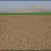 زمین مستثنیات سند تکبرگ کیلومتر۳جاده مشهد