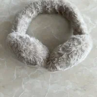 گوشگیر