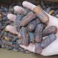 خرمای پیارم مخصوص دام