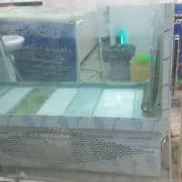 اکواریوم قزل زنده|فروشگاه و مغازه|داراب, |دیوار