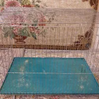 قفس پرنده طوطی سایز بزرگ نو|لوازم جانبی حیوانات|تهران, هفده شهریور|دیوار