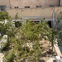 160-متر-3خواب-کلید-نخورده