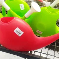 فروش انواع گلهای آپارتمانی و ملزومات|گل و گیاه طبیعی|ورامین, ورامین|دیوار