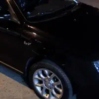 دناتوربوپلاس اپشنال