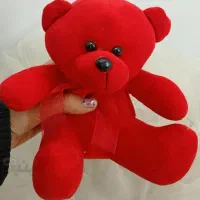 یک عروسک خرس قرمزگم شده