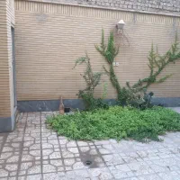 منزل اجاره ای کوتاه مدت یک خواب  نزدیک به مرکز شهر|اجارهٔ کوتاه‌مدت آپارتمان و سوئیت|اصفهان, بوزان|دیوار