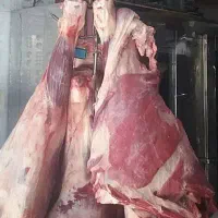 کارگر فروشنده جگر جهت کار در قصابی