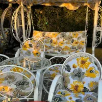 میز و صندلی باغی/ مدل گلبرگ سبک و اقتصادی|صندلی و نیمکت|چالوس, |دیوار