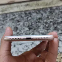 8 پلاس 256 گیگ طلایی|موبایل|بهشهر, |دیوار