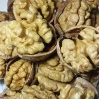 خشکبار|خوردنی و آشامیدنی|چمستان, |دیوار