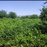فروش ۱۸۰۰ متری