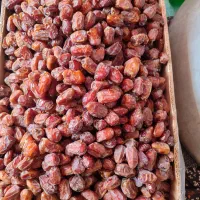 خرما ی درجه یک بخش ارم