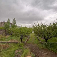 زمین480 متر در باسمنج کوی نیروی انتظامی