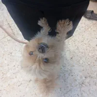 ب علت نبودن جا
