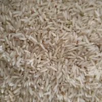 برنج طارم درجه ۱