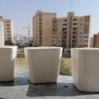 گلدان|گل و گیاه طبیعی|صدرا-فارس, فاز ۱|دیوار