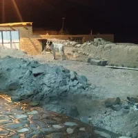 سگ گله افغان اصل|سگ|بیرجند, |دیوار