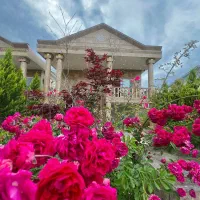 ویلا تو دل جنگل میخوایی .کافیه فقط بهم زنگ بزنی